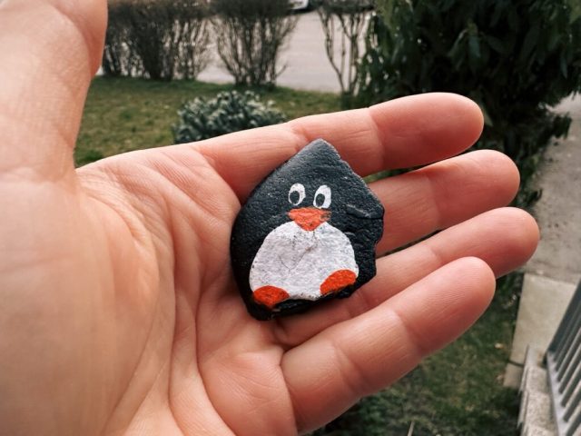 Hand-painted penguin stone #265 hidden at Ruzinov, Bratislava, Slovakia (photo 4 of 5)