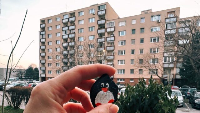 Hand-painted penguin stone #265 hidden at Ruzinov, Bratislava, Slovakia