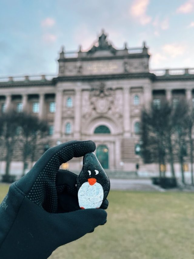 Hand-painted penguin stone #293 hidden at The Royal Palace, Stockholm, Sweden (photo 2 of 5)