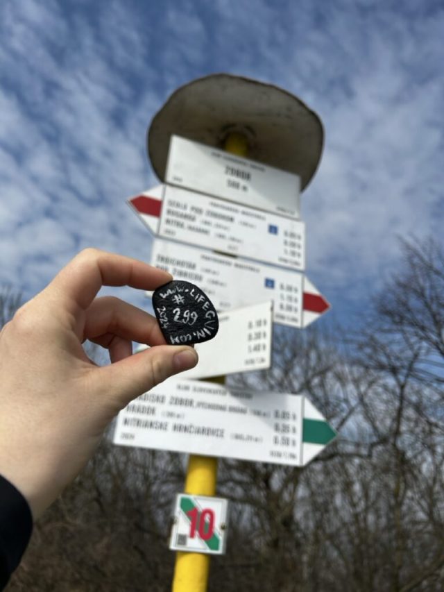 Hand-painted penguin stone #299 hidden at Zobor, Ponitrie, Slovakia (photo 2 of 5)