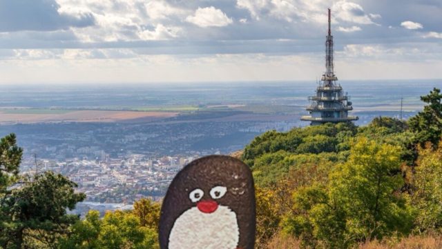 Hand-painted penguin stone #299 hidden at Zobor, Ponitrie, Slovakia (photo 4 of 5)