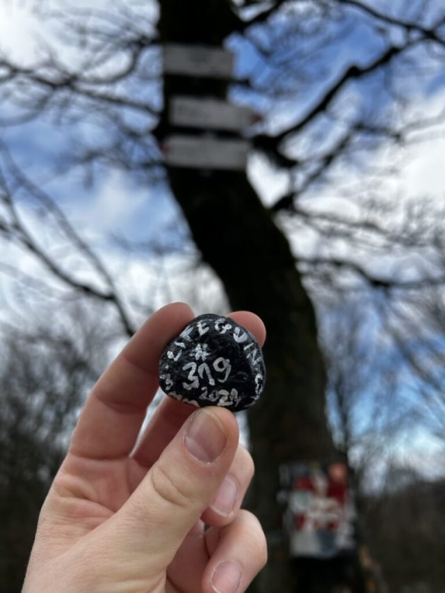 Hand-painted penguin stone #319 hidden at Skalnata, Little Carpathians, Slovakia (photo 2 of 5)