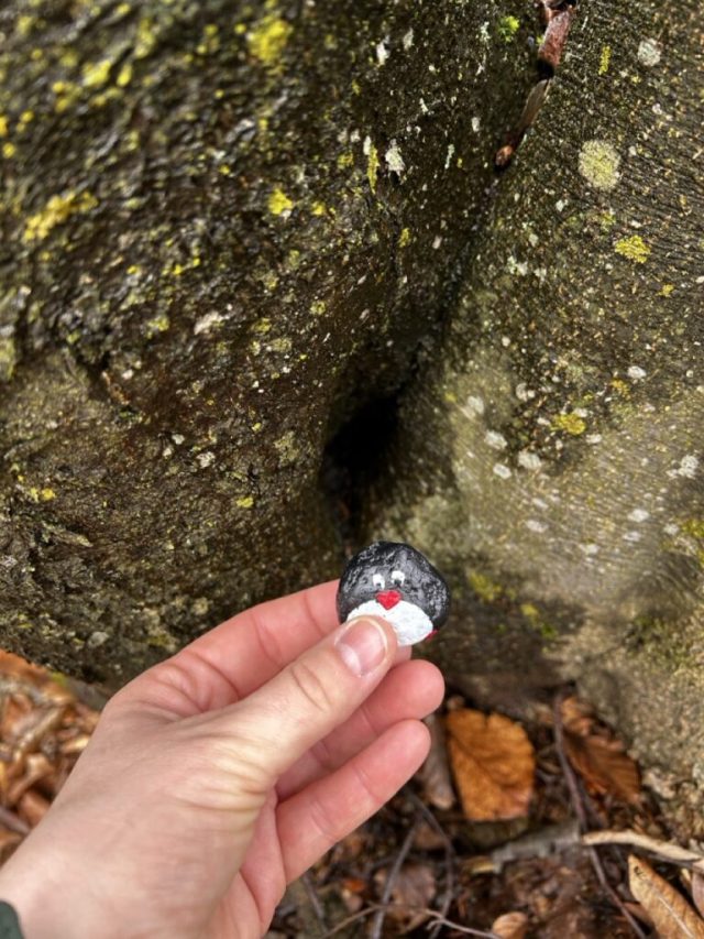 Hand-painted penguin stone #319 hidden at Skalnata, Little Carpathians, Slovakia (photo 3 of 5)