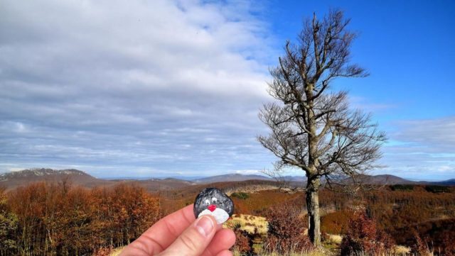 Hand-painted penguin stone #319 hidden at Skalnata, Little Carpathians, Slovakia