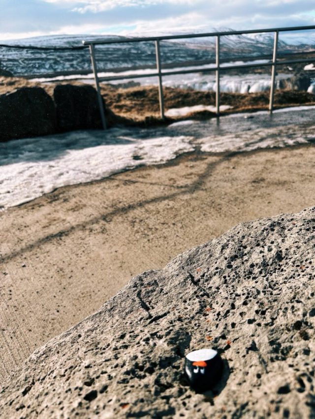 Hand-painted penguin stone #341 hidden at Godafoss Waterfall, Ring Road, Iceland (photo 2 of 5)