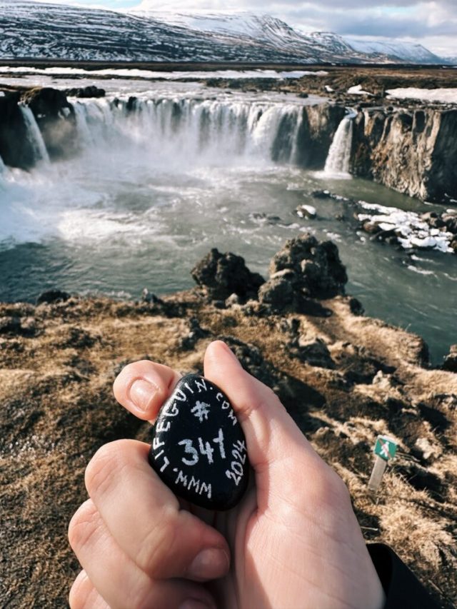 Hand-painted penguin stone #341 hidden at Godafoss Waterfall, Ring Road, Iceland (photo 3 of 5)