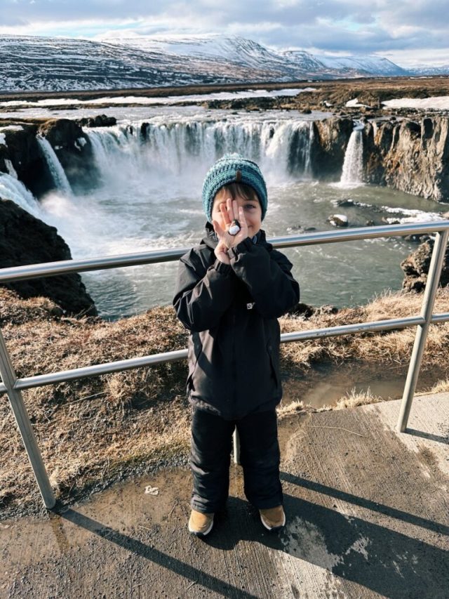 Hand-painted penguin stone #341 hidden at Godafoss Waterfall, Ring Road, Iceland (photo 4 of 5)