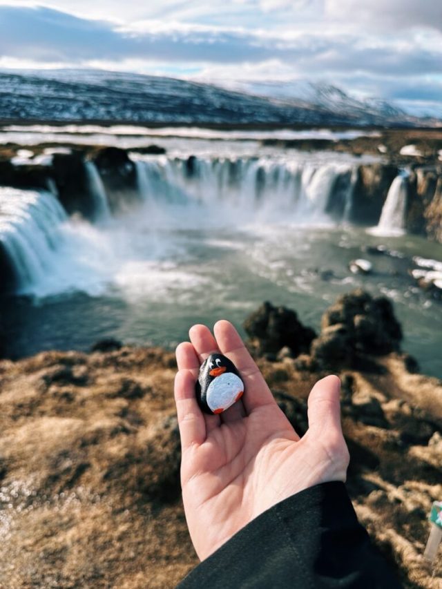 Hand-painted penguin stone #341 hidden at Godafoss Waterfall, Ring Road, Iceland (photo 5 of 5)