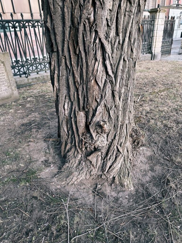 Ručne maľovaný tučniakový kameň č. 382 ukrytý na mieste Saint Jacob's Church, Stockholm, Švédsko (fotka 5 z 5)