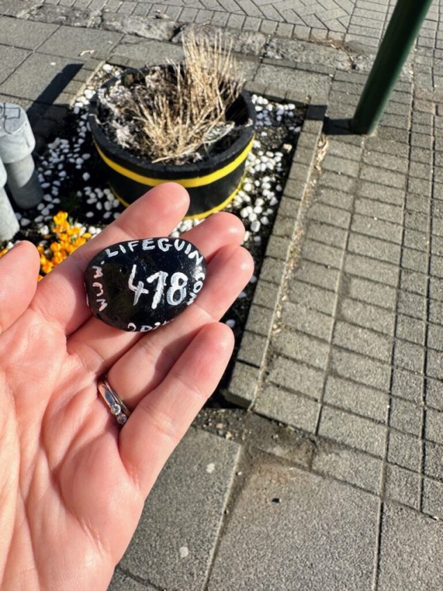Ručne maľovaný tučniakový kameň č. 418 ukrytý na mieste Hallgrimskirkja, Reykjavik, Island (fotka 3 z 5)