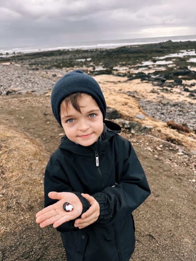 Hand-painted penguin stone #425 hidden at Ytri Tunga Beach, Snaefellsnes Peninsula, Iceland (photo 4 of 5)