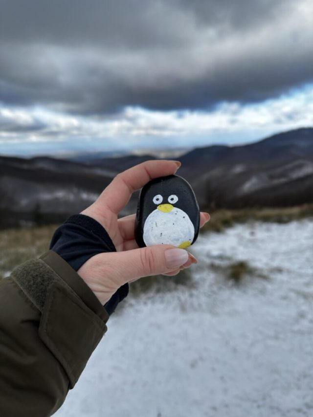 Hand-painted penguin stone #43 hidden at Skalnata, Little Carpathians, Slovakia (photo 3 of 5)
