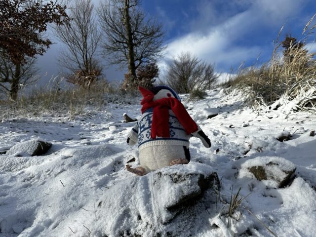 Hand-painted penguin stone #43 hidden at Skalnata, Little Carpathians, Slovakia (photo 4 of 5)