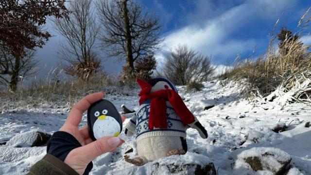 Hand-painted penguin stone #43 hidden at Skalnata, Little Carpathians, Slovakia