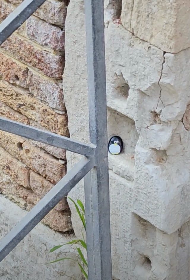 Hand-painted penguin stone #101 hidden at Close to Palazzo Tetta, Venice, Italy (photo 2 of 5)