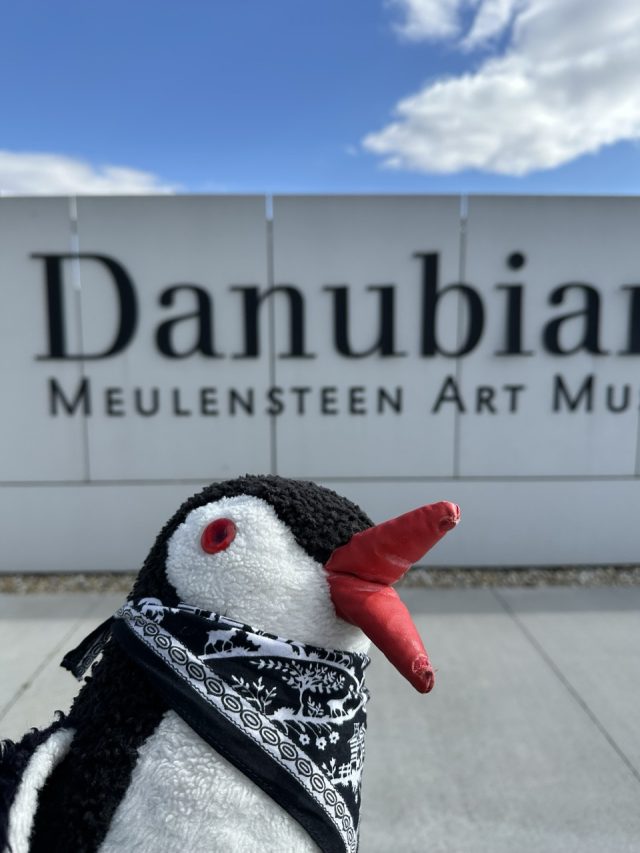 Hand-painted penguin stone #223 hidden at Danubiana, Cunovo, Slovakia (photo 2 of 5)
