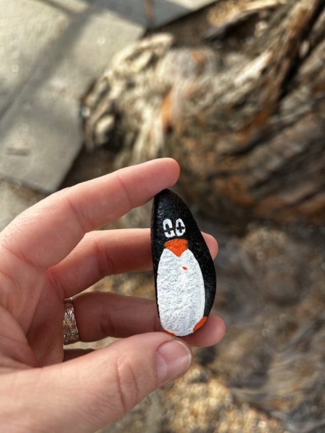 Hand-painted penguin stone #243 hidden at Wasserkirche, Zurich, Switzerland (photo 3 of 5)