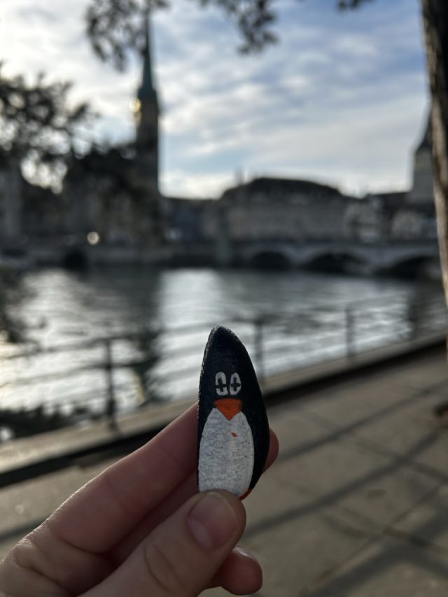 Hand-painted penguin stone #243 hidden at Wasserkirche, Zurich, Switzerland (photo 4 of 5)