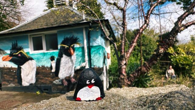 Hand-painted penguin stone #302 hidden at Edinburgh Zoo, Edinburgh, United Kingdom