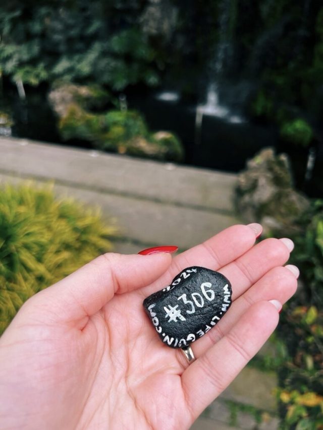 Hand-painted penguin stone #306 hidden at Culture Park, Chengdu, China (photo 3 of 5)