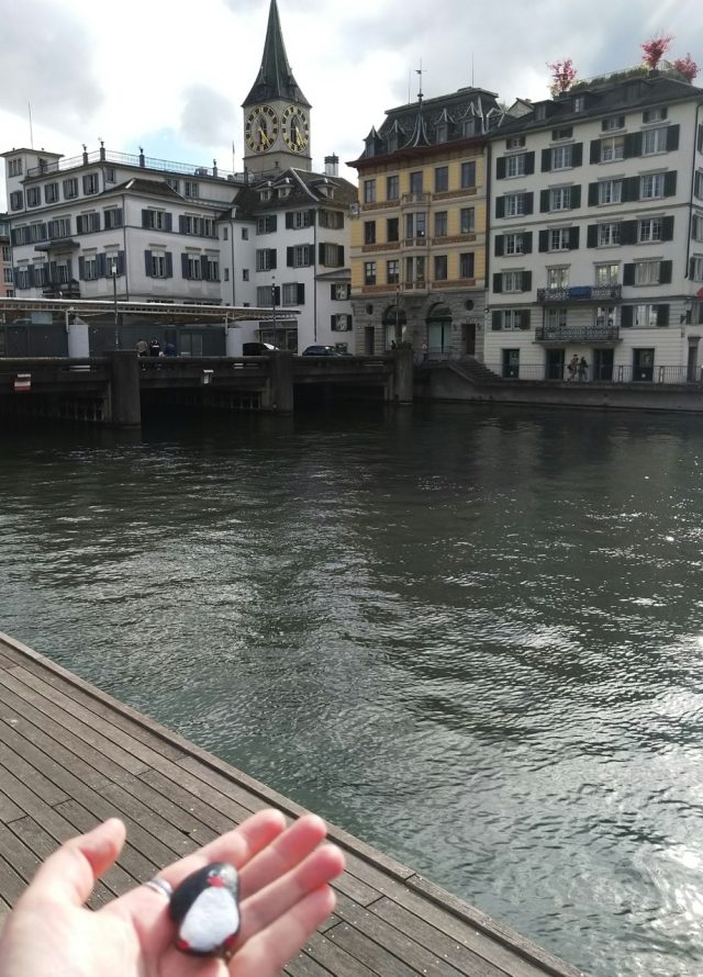Hand-painted penguin stone #312 hidden at Town Hall, Zurich, Switzerland (photo 4 of 4)