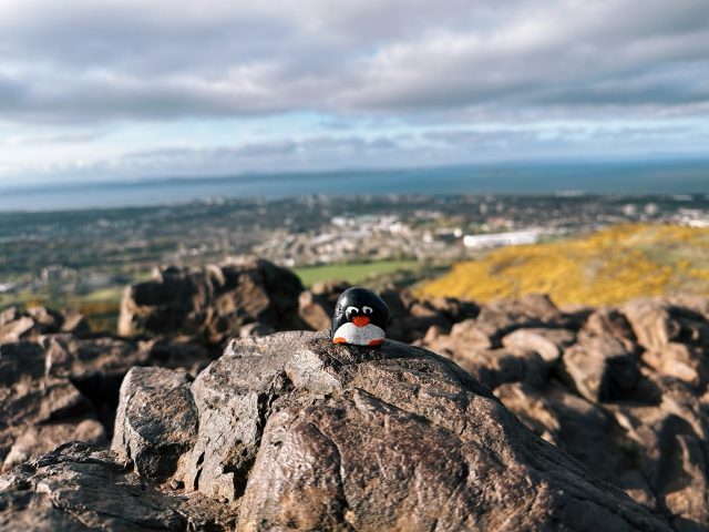 Hand-painted penguin stone #349 hidden at Arthur's Seat, Edinburgh, United Kingdom (photo 2 of 5)