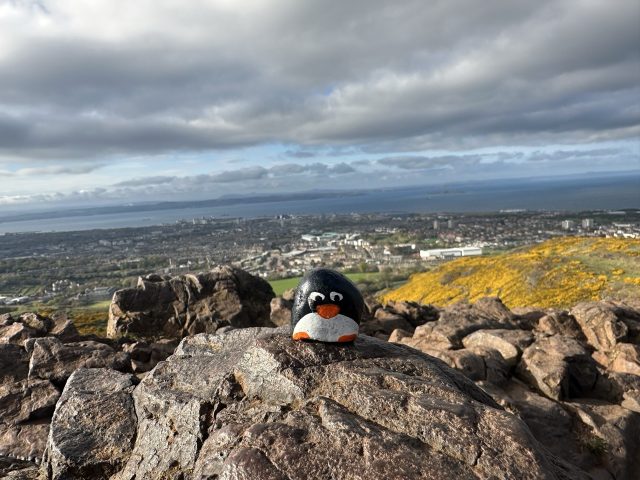 Hand-painted penguin stone #349 hidden at Arthur's Seat, Edinburgh, United Kingdom (photo 3 of 5)
