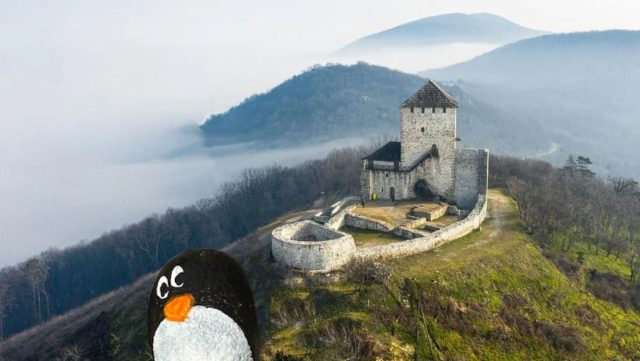 Ručne maľovaný tučniakový kameň č. 375 ukrytý na mieste Vršac Castle, Vojvodina, Srbsko