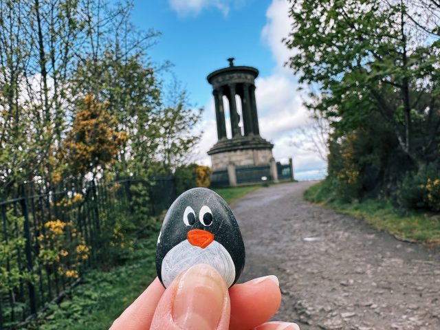 Hand-painted penguin stone #380 hidden at Dugald Stewart Monument, Edinburgh, United Kingdom (photo 2 of 5)