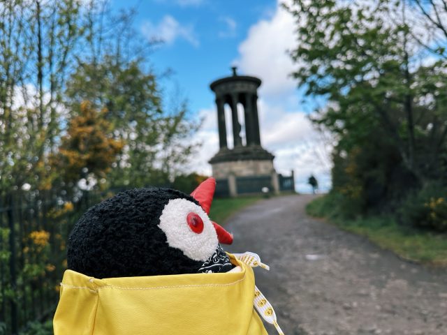Hand-painted penguin stone #380 hidden at Dugald Stewart Monument, Edinburgh, United Kingdom (photo 3 of 5)