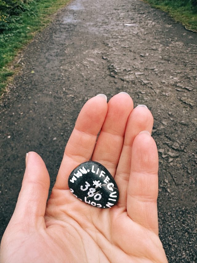 Hand-painted penguin stone #380 hidden at Dugald Stewart Monument, Edinburgh, United Kingdom (photo 4 of 5)