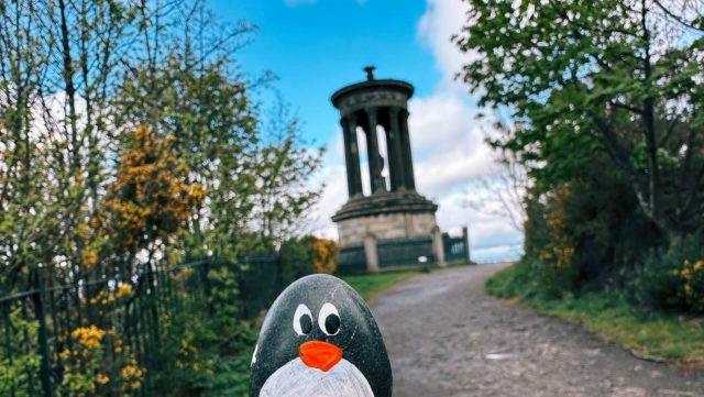 Hand-painted penguin stone #380 hidden at Dugald Stewart Monument, Edinburgh, United Kingdom