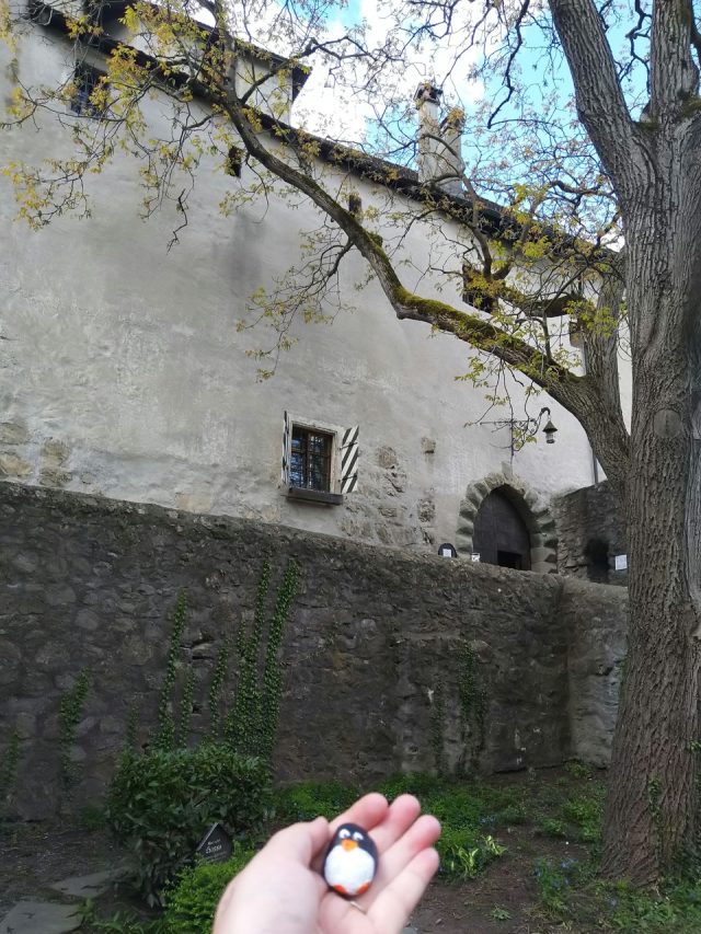 Hand-painted penguin stone #384 hidden at Schattenburg, Feldkirch, Austria (photo 3 of 4)