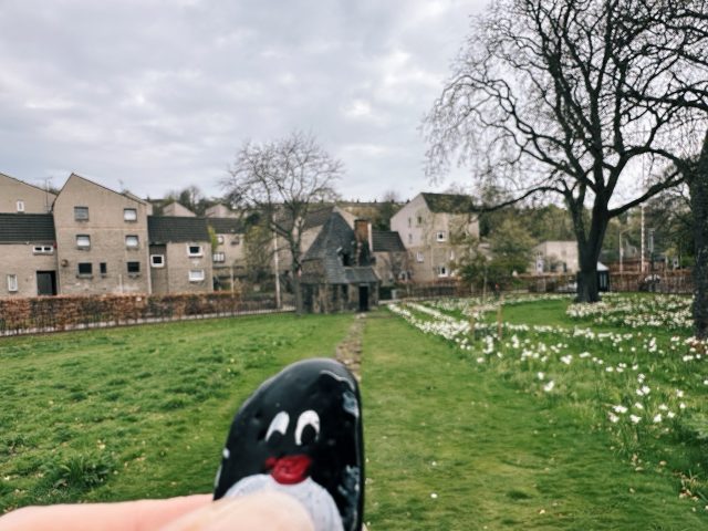 Hand-painted penguin stone #392 hidden at Holyroodhouse Palace Gardens, Edinburgh, United Kingdom (photo 3 of 5)