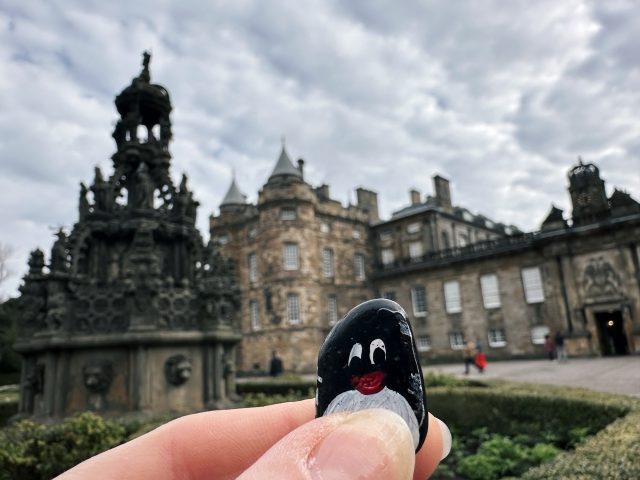 Hand-painted penguin stone #392 hidden at Holyroodhouse Palace Gardens, Edinburgh, United Kingdom (photo 4 of 5)