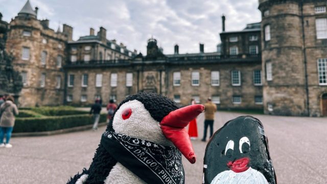 Hand-painted penguin stone #392 hidden at Holyroodhouse Palace Gardens, Edinburgh, United Kingdom