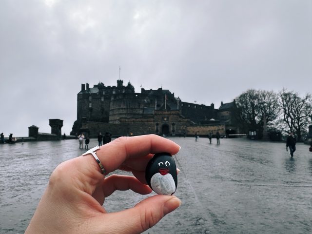 Hand-painted penguin stone #399 hidden at Castle Esplanade, Edinburgh, United Kingdom (photo 2 of 5)
