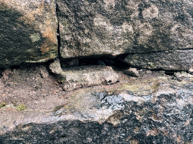 Hand-painted penguin stone #399 hidden at Castle Esplanade, Edinburgh, United Kingdom (photo 4 of 5)