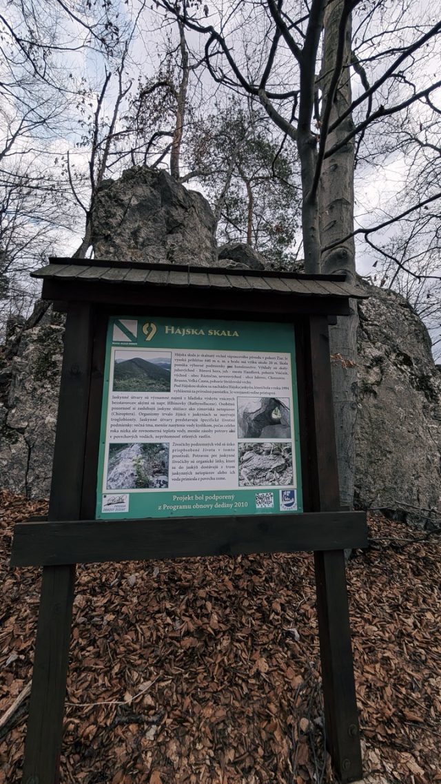 Hand-painted penguin stone #401 hidden at Hajska skala, Raztocno, Slovakia (photo 4 of 5)