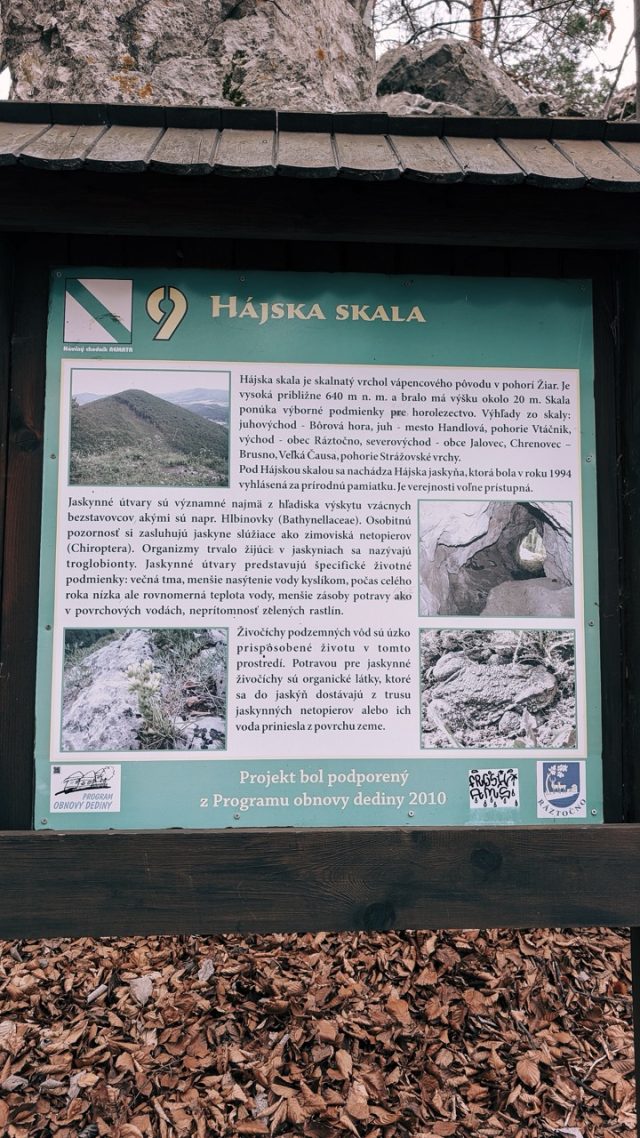 Hand-painted penguin stone #401 hidden at Hajska skala, Raztocno, Slovakia (photo 5 of 5)