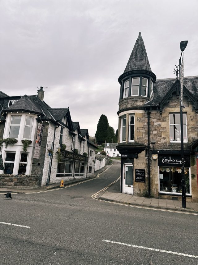 Hand-painted penguin stone #404 hidden at Rie-Achan Road, Pitlochry, United Kingdom (photo 4 of 5)