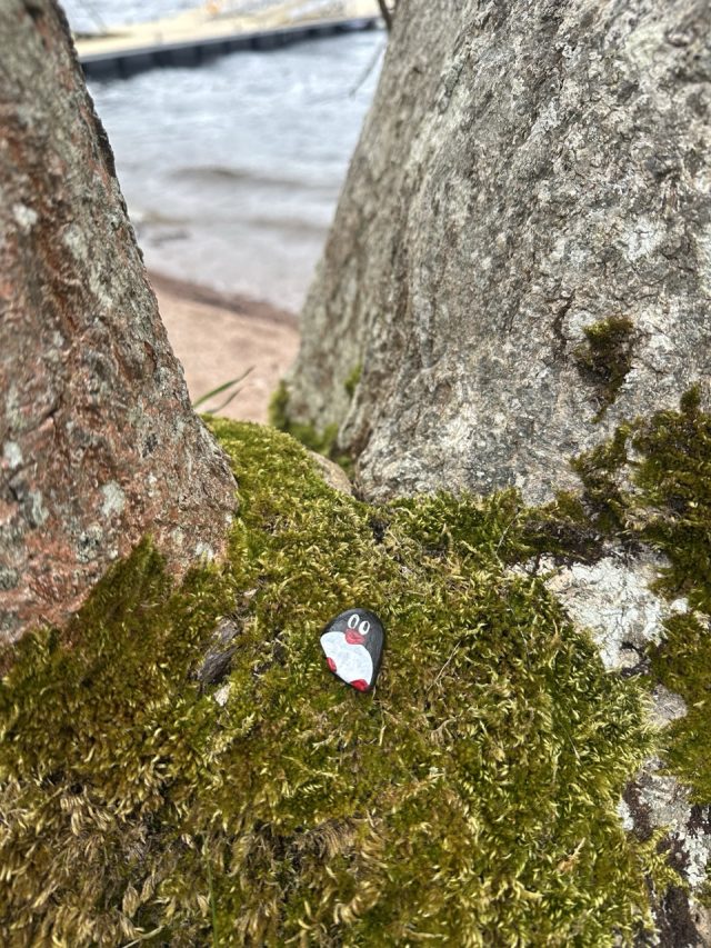 Hand-painted penguin stone #405 hidden at Urquhart Castle Docks, Loch Ness, United Kingdom (photo 5 of 5)