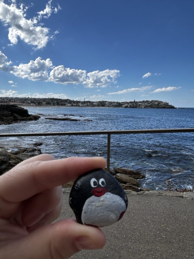 Hand-painted penguin stone #414 hidden at Squid Bay, Sydney, Australia (photo 3 of 5)