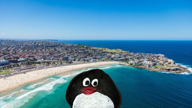 Ručne maľovaný tučniakový kameň č. 414 ukrytý na mieste Squid Bay, Sydney, Austrália