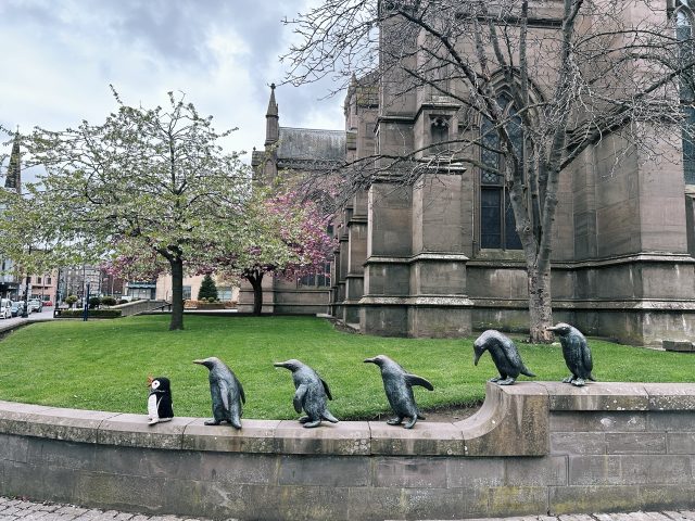 Hand-painted penguin stone #415 hidden at March of Penguins, Dundee, United Kingdom (photo 2 of 5)