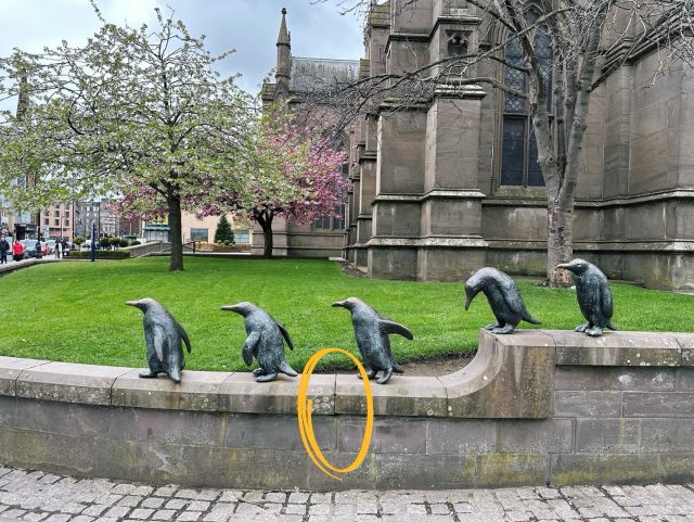 Hand-painted penguin stone #415 hidden at March of Penguins, Dundee, United Kingdom (photo 4 of 5)