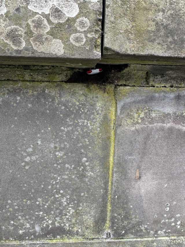 Hand-painted penguin stone #415 hidden at March of Penguins, Dundee, United Kingdom (photo 5 of 5)