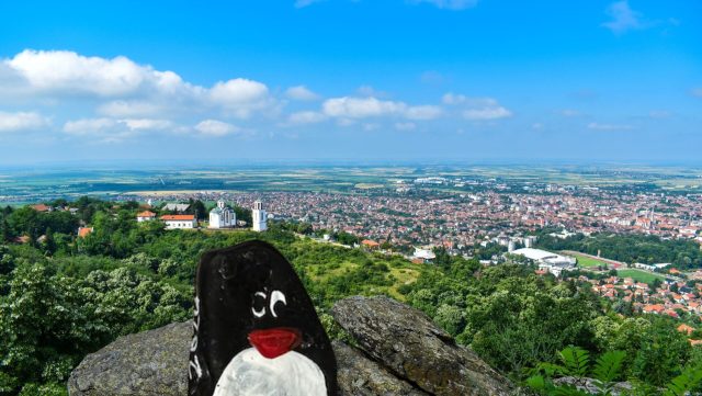 Ručne maľovaný tučniakový kameň č. 416 ukrytý na mieste City Park, Vršac, Srbsko