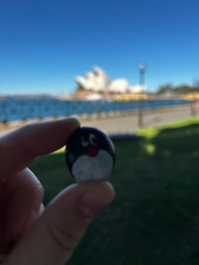 Hand-painted penguin stone #424 hidden at Sydney Opera House, Sydney, Australia (photo 3 of 5)