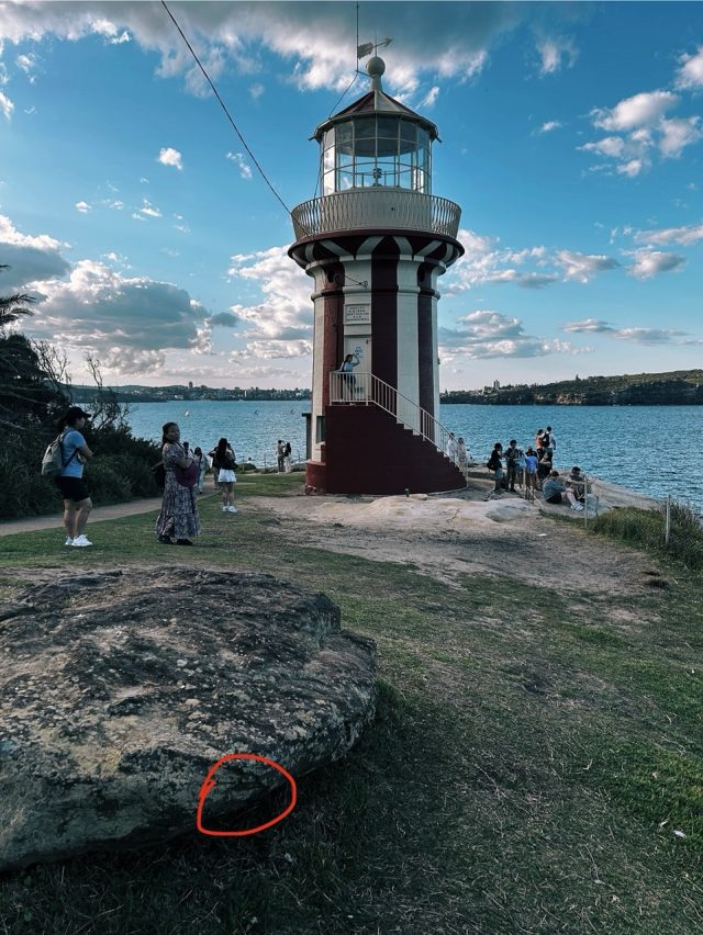 Hand-painted penguin stone #427 hidden at Hornby Lighthouse, Sydney, Australia (photo 3 of 5)